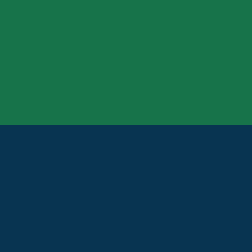 NAVY-KELLY GREEN